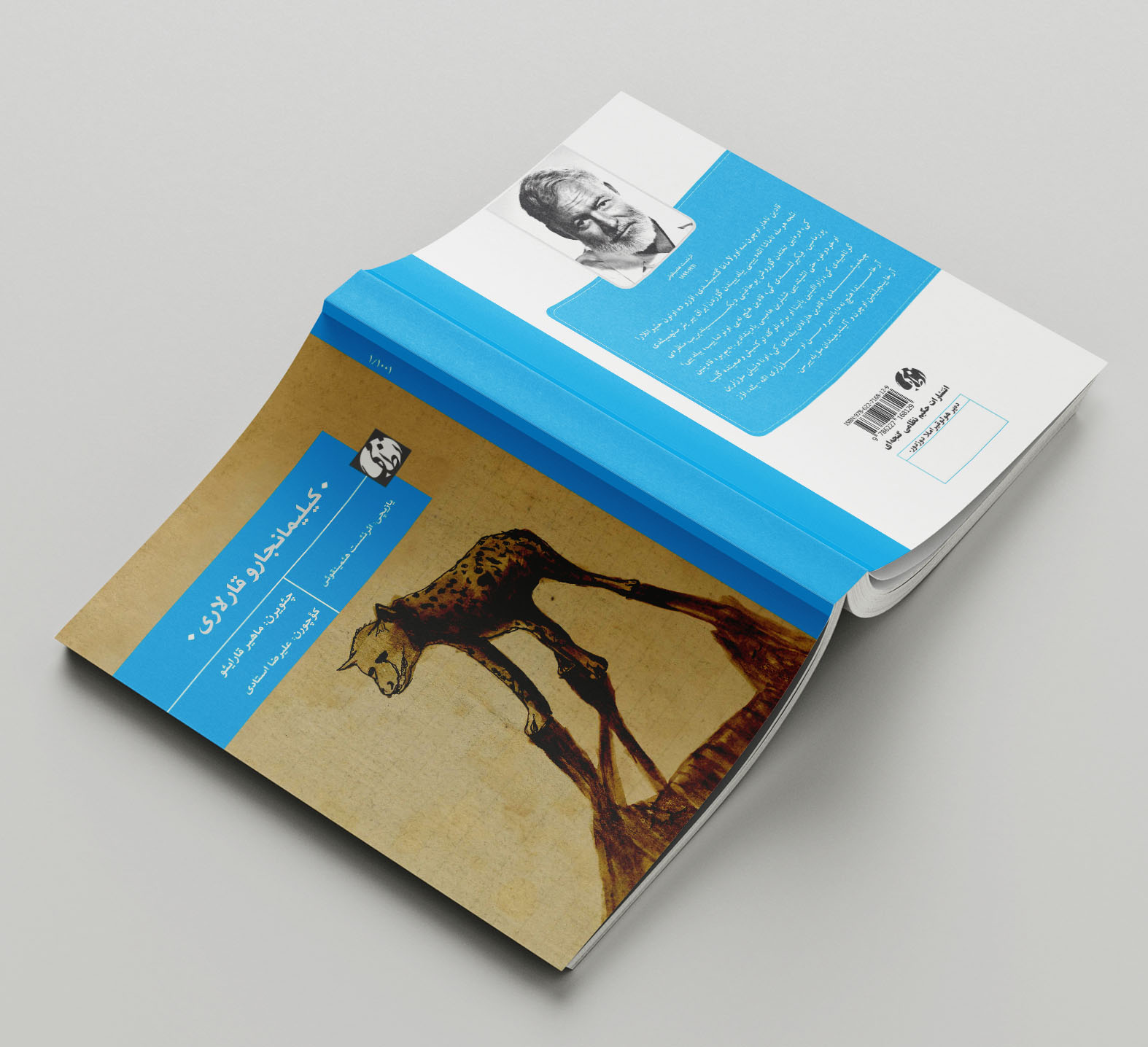 Kilimancaru qarlari12